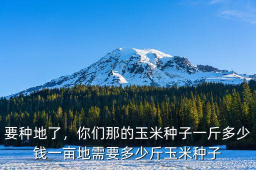 要種地了，你們那的玉米種子一斤多少錢一畝地需要多少斤玉米種子