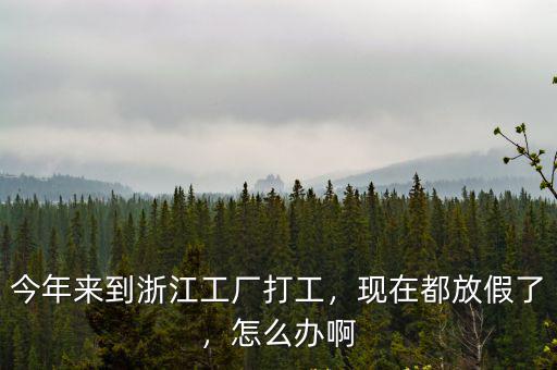 浙江多少工廠招工,今年來到浙江工廠打工