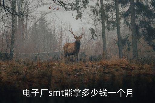 青島電子場一般多少錢一個月,在青島一個月工資4500元