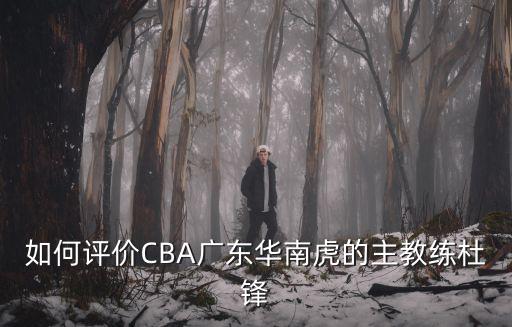 杜鋒在廣東的哪里,杜鋒到底贏在哪里