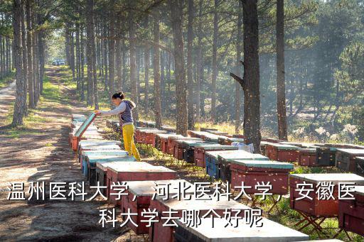 溫州醫(yī)科大學(xué)學(xué)報多少錢,女兒被溫州醫(yī)科大學(xué)錄取