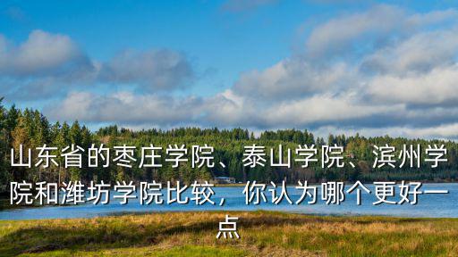 棗莊學院多少平方,濟寧學院和棗莊學院比