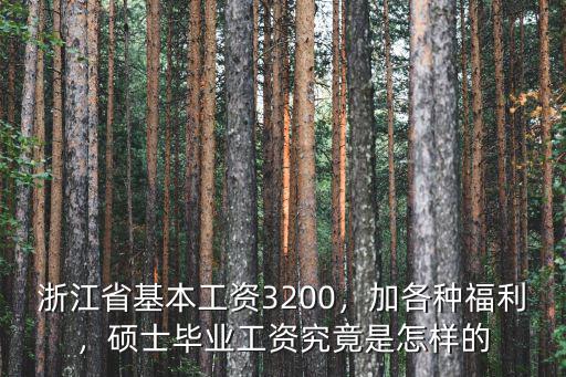 浙江省基本工資3200，加各種福利，碩士畢業工資究竟是怎樣的