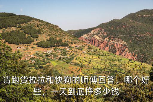 請跑貨拉拉和快狗的師傅回答，哪個好些，一天到底掙多少錢