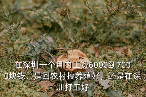 楊魏玲以前在深圳沙井哪里打工,深圳哪里的工廠比較多