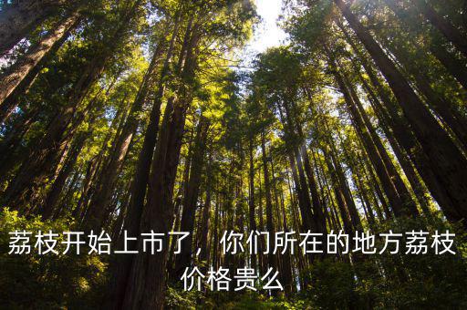 荔枝開始上市了，你們所在的地方荔枝價格貴么