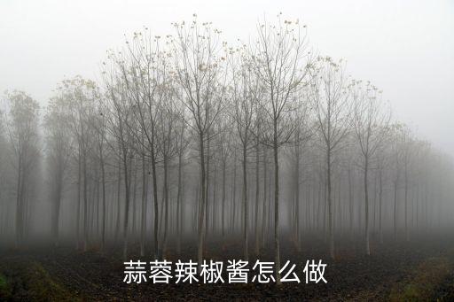 廣東蒜蓉辣子醬怎么做,蒜蓉辣椒醬的做法