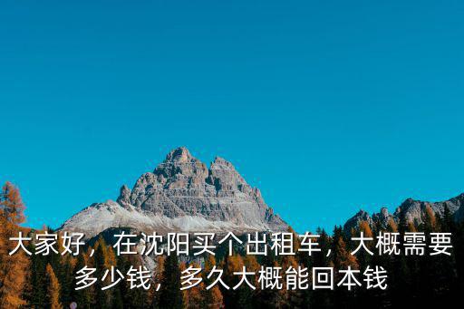 大家好，在沈陽買個出租車，大概需要多少錢，多久大概能回本錢
