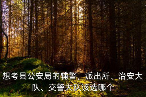 泰安交警二大隊有多少輔警,交警大隊該選哪個