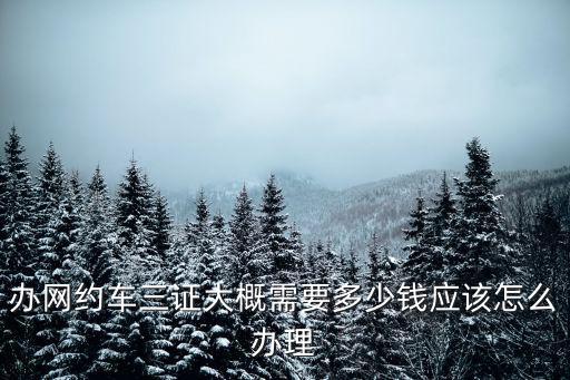 廣州辦理網約車證必須要多少錢,辦網約車三證大概需要多少錢