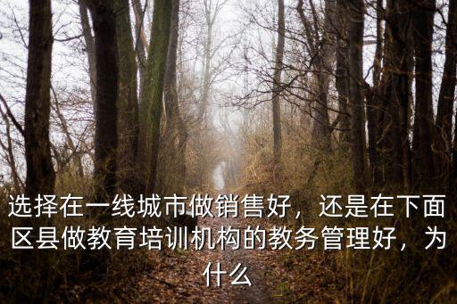 在深圳做教育機構銷售怎么樣,有沒有在教育機構上班的
