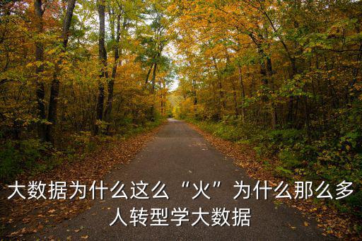 大數據為什么這么“火”為什么那么多人轉型學大數據