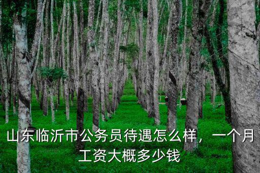 山東臨沂市公務(wù)員待遇怎么樣，一個(gè)月工資大概多少錢