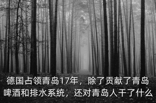 德國占青島多少平方,德國占領青島17年