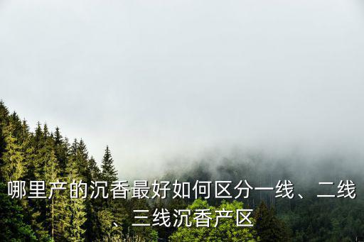 哪里產(chǎn)的沉香最好如何區(qū)分一線、二線、三線沉香產(chǎn)區(qū)