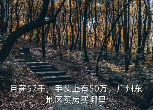 廣州哪里看房需要50萬的,廣州東地區買房買哪里