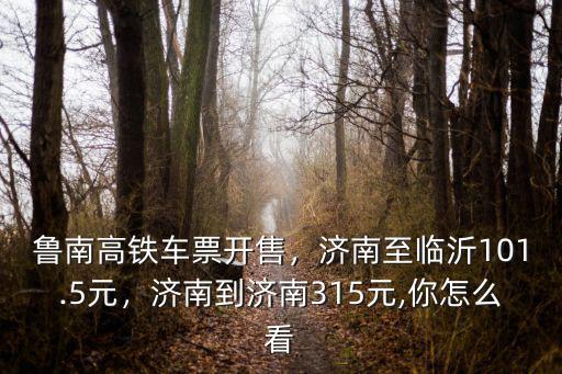 從濟南到臨沂的高鐵票價是多少,有濟南到臨沂的直達高鐵么