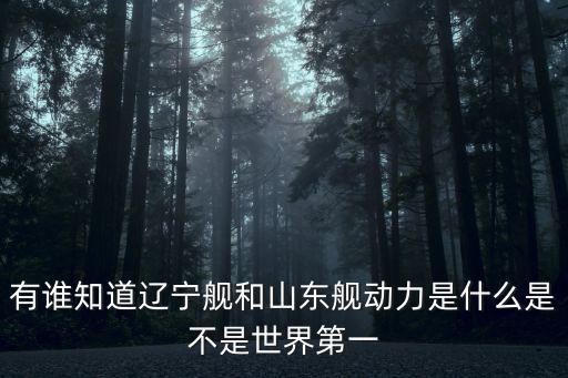 有誰知道遼寧艦和山東艦動力是什么是不是世界第一