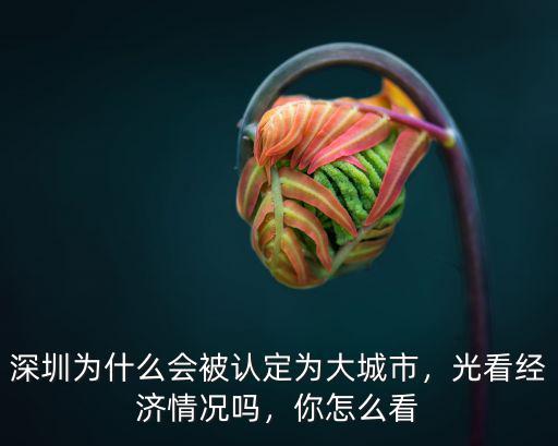 深圳為什么會被認定為大城市，光看經(jīng)濟情況嗎，你怎么看