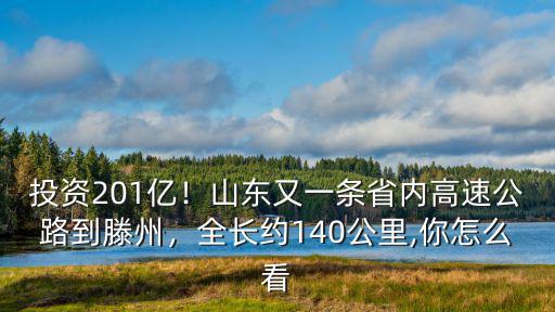 投資201億！山東又一條省內高速公路到滕州，全長約140公里,你怎么看