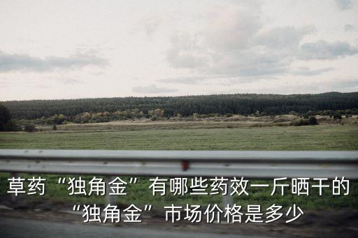 草藥“獨角金”有哪些藥效一斤曬干的“獨角金”市場價格是多少