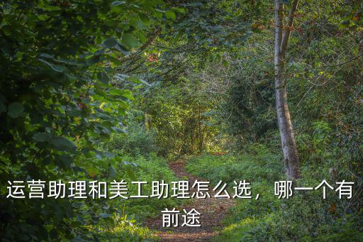 廣州美工助理 工資多少,運營助理和美工助理怎么選