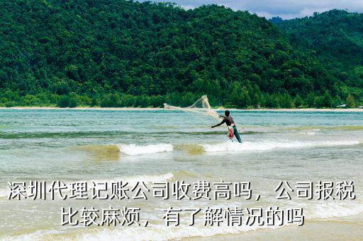 深圳代理記賬公司收費高嗎，公司報稅比較麻煩，有了解情況的嗎