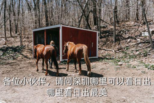 深圳哪里看春色,哪里看日出最美
