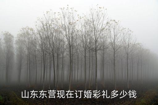 山東東營現在訂婚彩禮多少錢