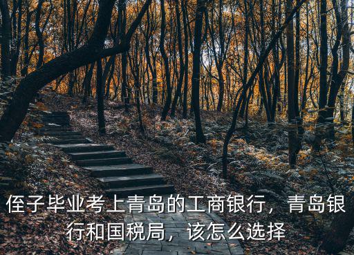 侄子畢業(yè)考上青島的工商銀行，青島銀行和國稅局，該怎么選擇