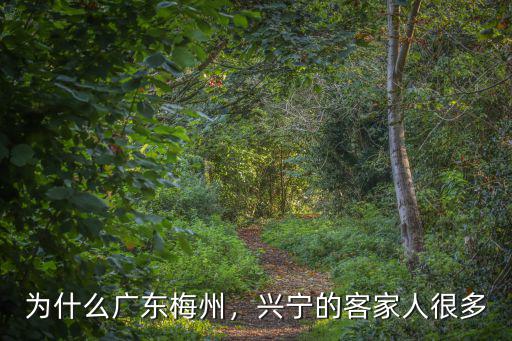為什么廣東梅州，興寧的客家人很多