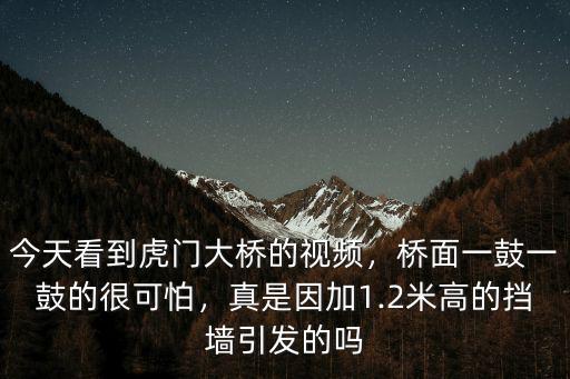 廣東的虎門大橋怎么了,今天看到虎門大橋的視頻
