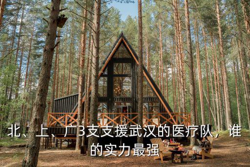 北、上、廣3支支援武漢的醫療隊，誰的實力最強