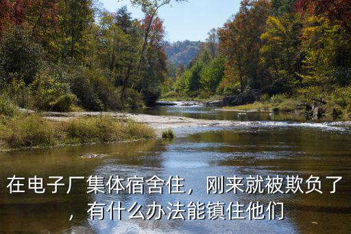 在電子廠集體宿舍住，剛來就被欺負(fù)了，有什么辦法能鎮(zhèn)住他們