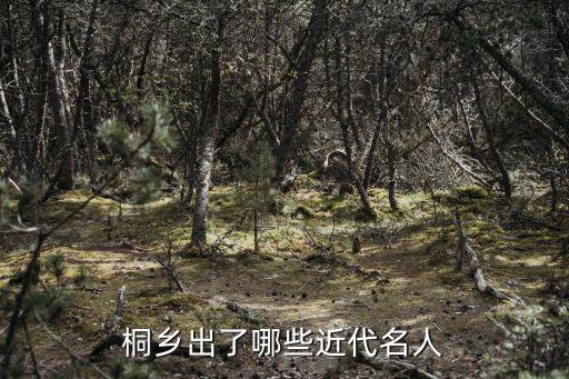 浙江省近代史出了多少名人,浙江出了哪些名人
