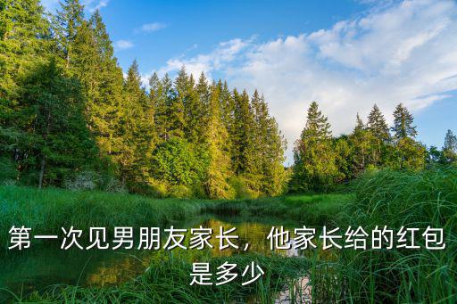 濱州第一次見家長給多少錢,他家長給的紅包是多少