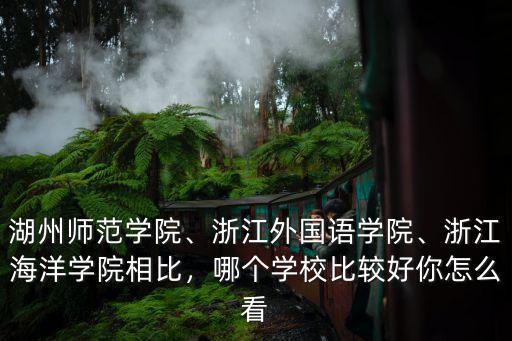 浙江外國語學(xué)院在全國排多少名,浙江海洋學(xué)院相比
