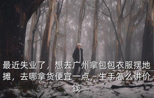 最近失業(yè)了，想去廣州拿包包衣服擺地?cái)?，去哪拿貨便宜一點(diǎn)，生手怎么講價(jià)錢