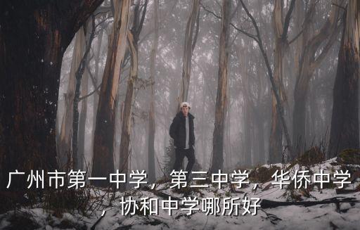 廣州市第一中學李芳英語怎么說,協和中學哪所好