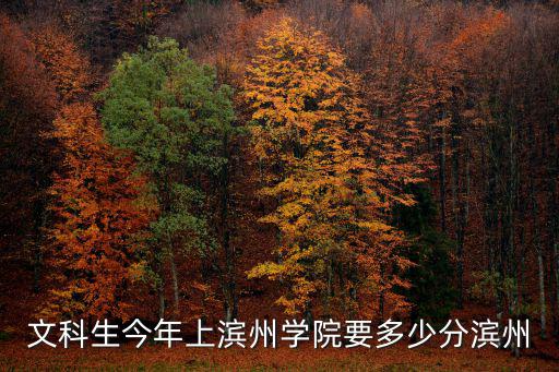 文科生今年上濱州學院要多少分濱州