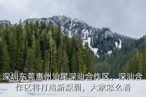 深圳東莞惠州汕尾深汕合作區，深汕合作區將打造新深圳，大家怎么看