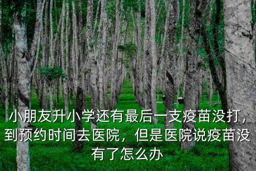 小朋友升小學還有最后一支疫苗沒打，到預約時間去醫院，但是醫院說疫苗沒有了怎么辦