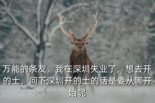 深圳比亞迪出租車(chē)怎么招聘的,考慮想在深圳租個(gè)出租車(chē)跑