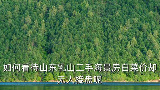 如何看待山東乳山二手海景房白菜價卻無人接盤呢