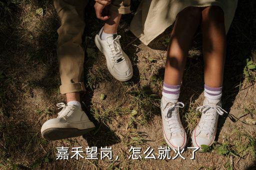 廣州嘉禾望崗屠宰場搬去哪里了,馬上要去廣州了