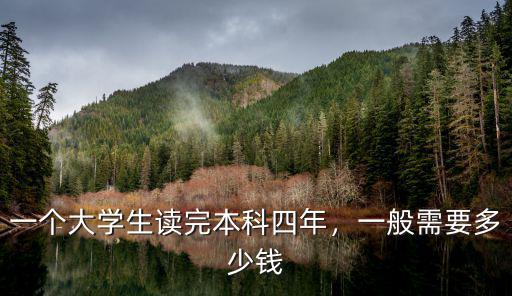 一個大學生讀完本科四年，一般需要多少錢