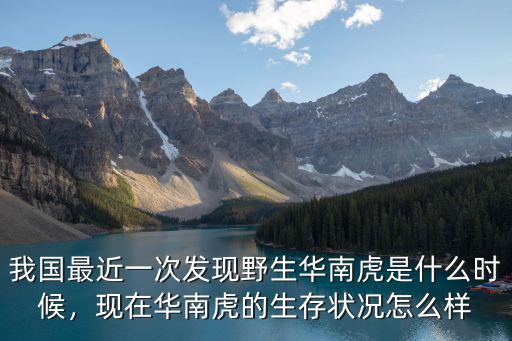 我國最近一次發現野生華南虎是什么時候，現在華南虎的生存狀況怎么樣
