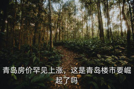 青島g20峰會(huì)后房價(jià)漲多少,青島房價(jià)罕見上漲