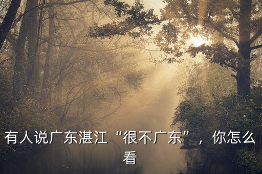 廣東湛江港灣在哪里,有人說廣東湛江很不廣東