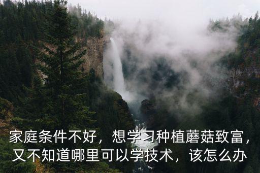 家庭條件不好，想學習種植蘑菇致富，又不知道哪里可以學技術，該怎么辦